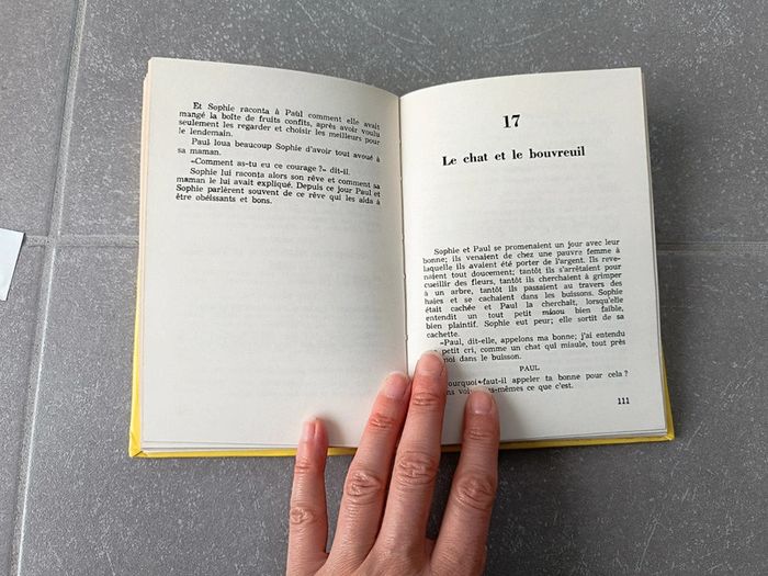 Livre Les malheurs de Sophie - photo numéro 5