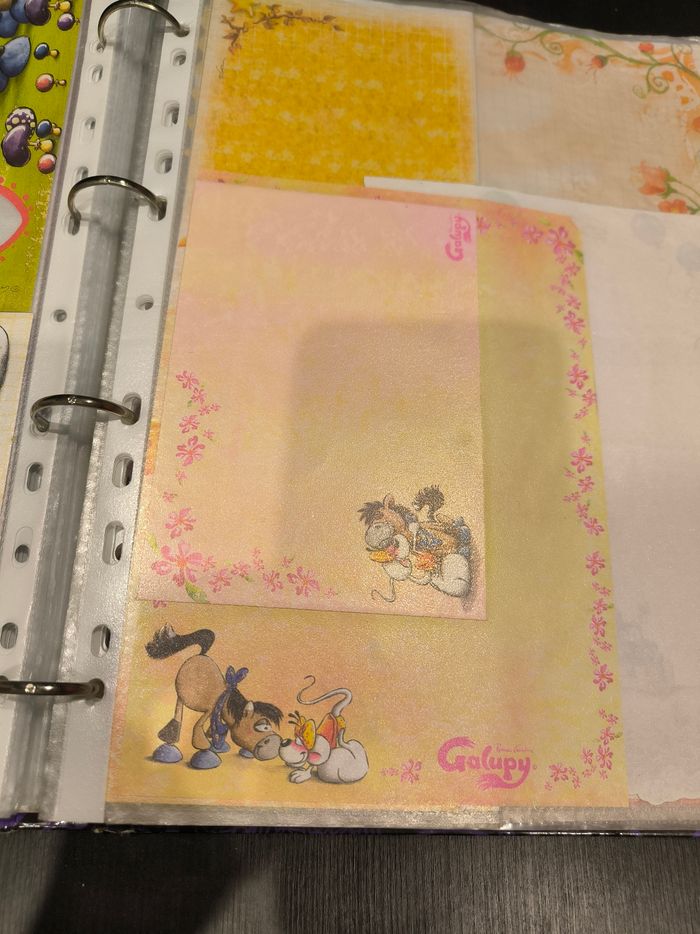 Classeur - Grande collection de fiches, enveloppes, pochettes, post-its, petites fiches, etc. Diddl - photo numéro 6