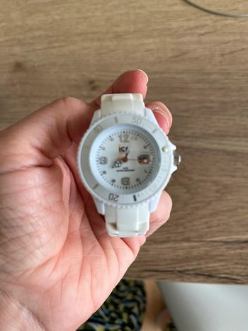 Montre ice