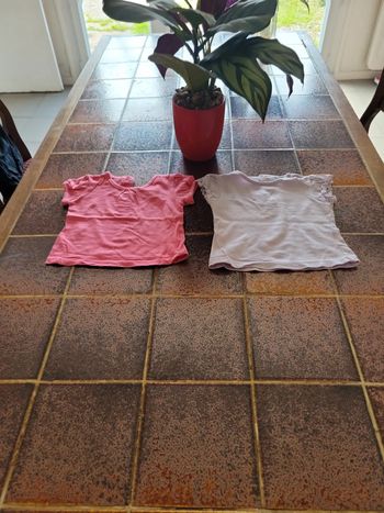Lot de 2 tee shirt manches courtes