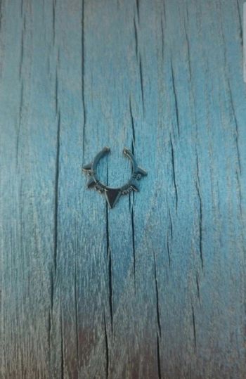 Bijou Miraculous du Boeuf camouflé – univers Ladybug (livre)