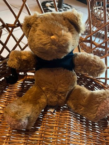 Ours en peluche avec pipe