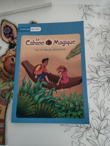 La cabane magique sur le fleuve amazone