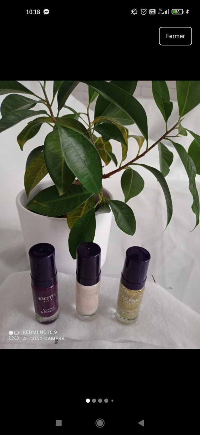 lot 3 vernis