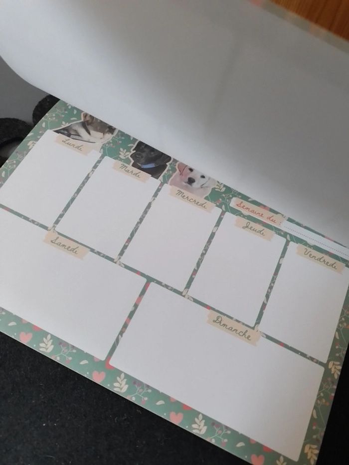 Semainier en papier - photo numéro 4