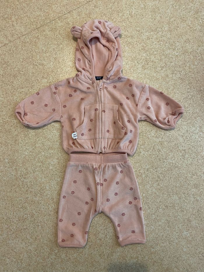 Mini jogging rose