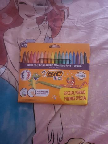 Feutres bic x18
