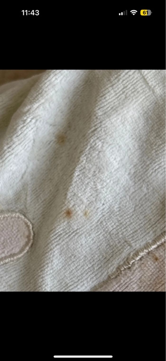 Gigoteuse - photo numéro 3