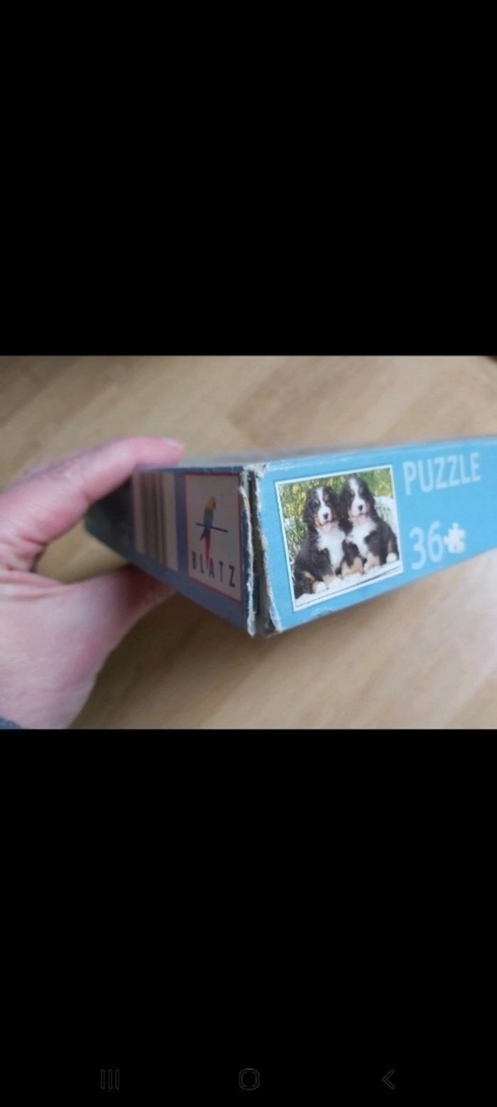 Chiens puzzle - photo numéro 4
