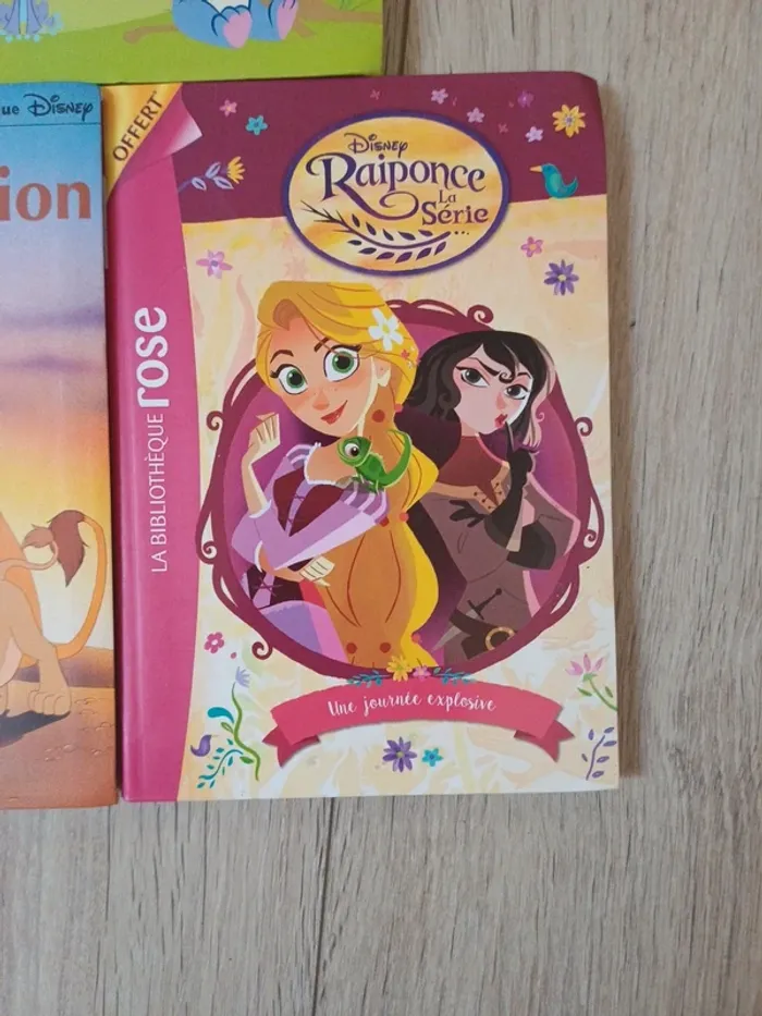 Bibliothèque rose - photo numéro 3