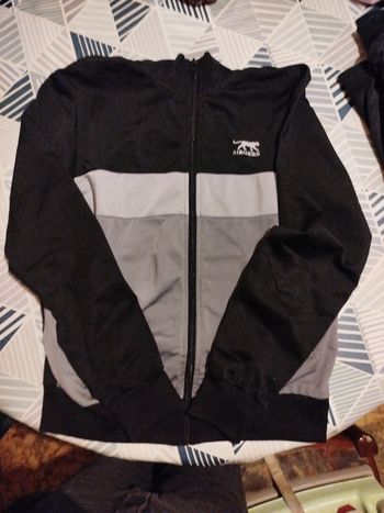 Veste