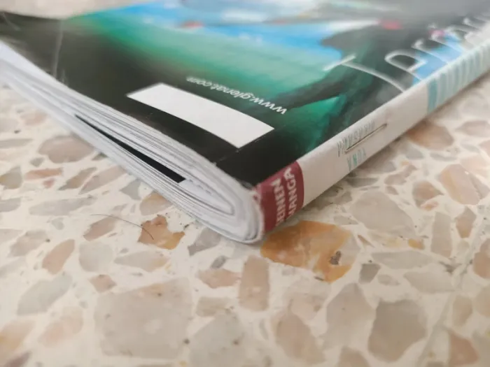 Manga terrarium tome 1 edition provisoire - photo numéro 5