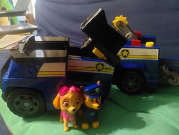 Camio.nnchase et stella