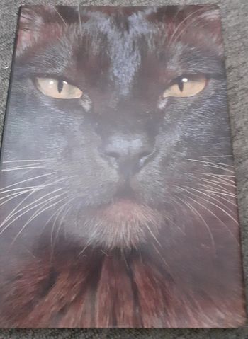 Livre Artis Historia La vie mystérieuse des chats