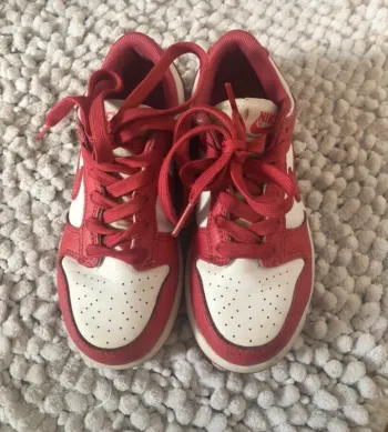 Nike Dunk rose