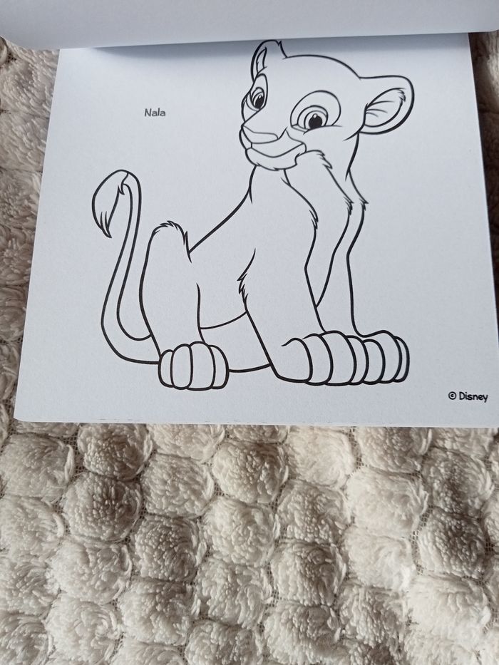 Petit Livre de coloriage le Roi lion - photo numéro 3