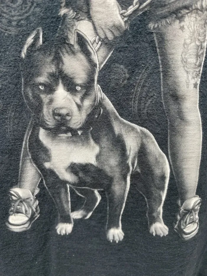 Vintage Streetwear T-Shirt – Sugar Skull Woman & Pitbull Graphic – Size L - photo numéro 4