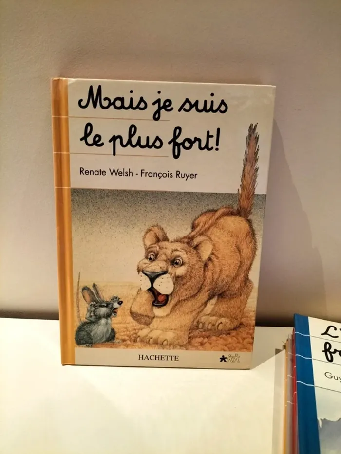 Lot 9 livres - Je commence à lire : je déchiffre - photo numéro 11