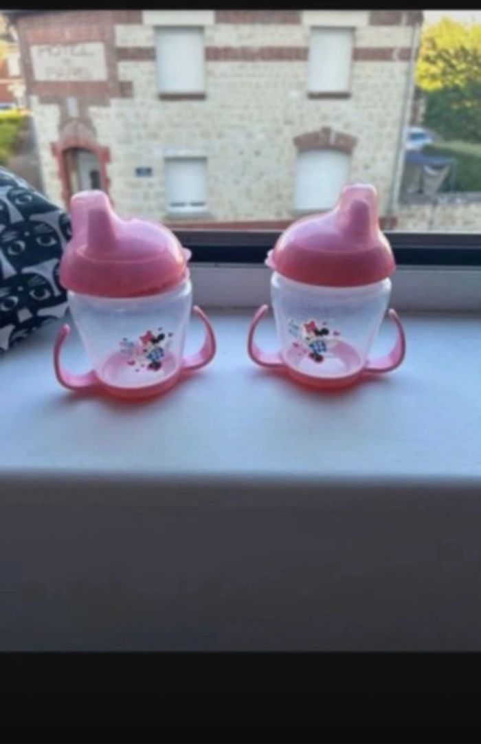 Lot de 2 biberons Minnie filel