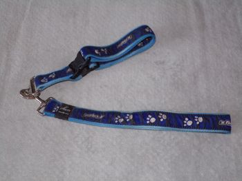 Laisse courte + collier Rogz