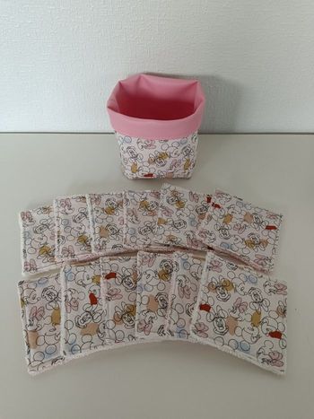 Panier et 12 lingettes démaquillantes 10 x 10 cm motif Mickey et minnie
