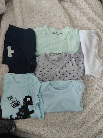 Lot de 6 bodies
