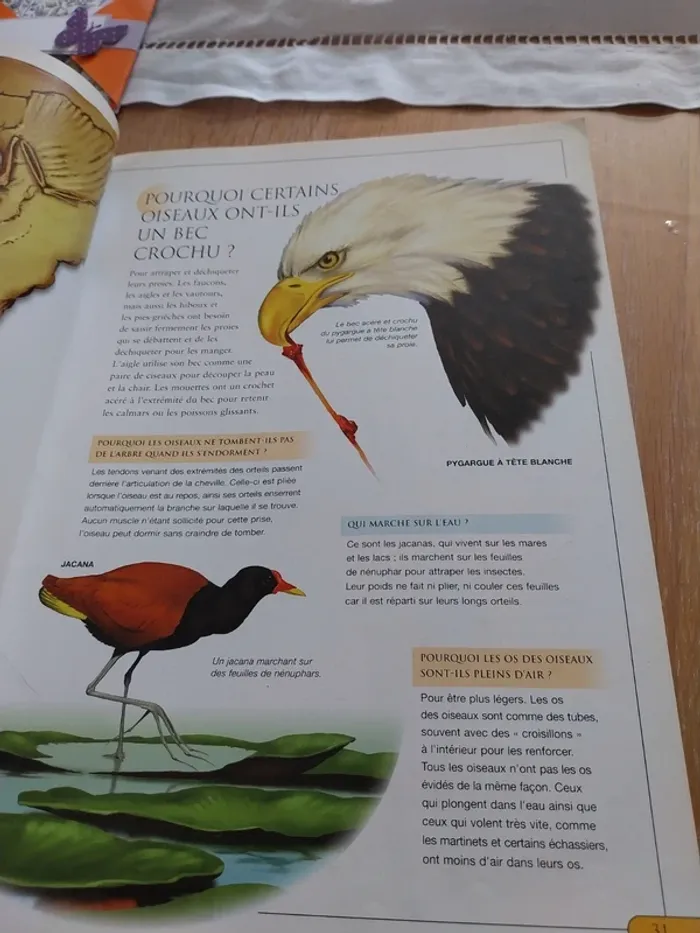Questions et réponses Les animaux - photo numéro 2
