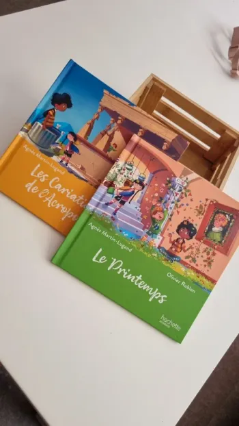 Lot de 2 livres McDonald's neuf