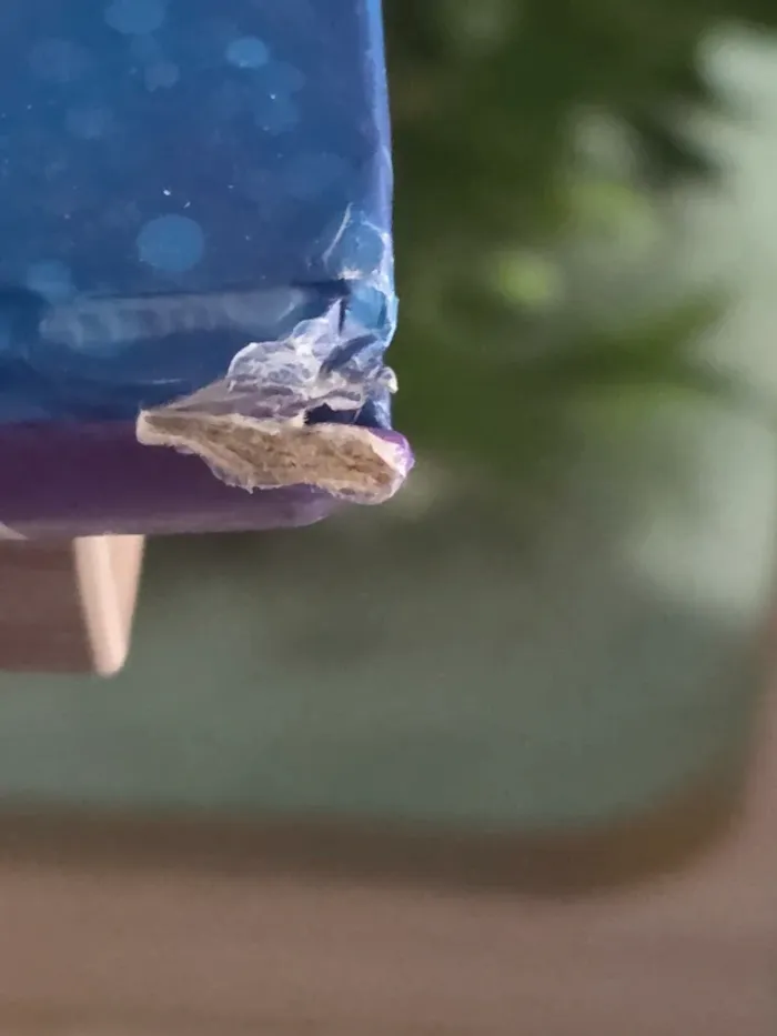 Livre disney vice versa - photo numéro 4