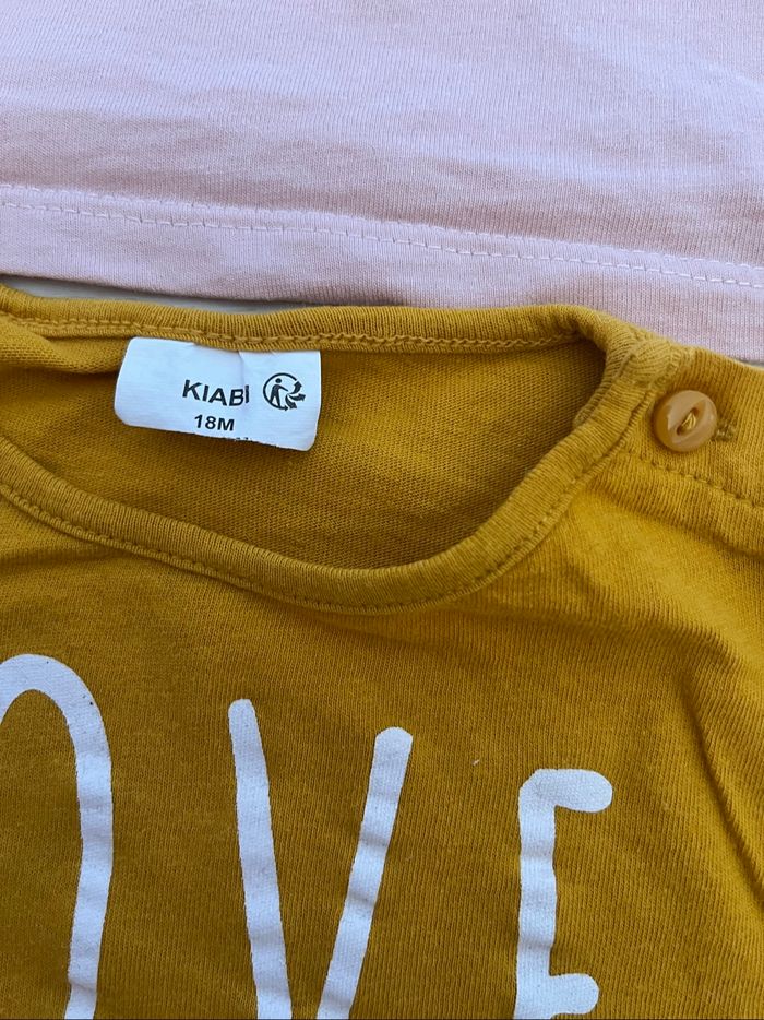 Lot 2 teeshirt manche longue 18mois - photo numéro 2