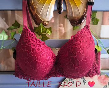 Soutien gorge style push up