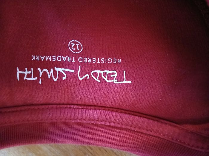 Pull teddy smith - photo numéro 3