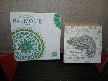 Lots de 2 livre de coloriage neuf