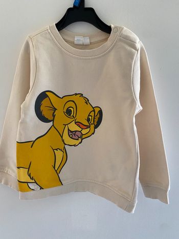 Sweat le roi lion