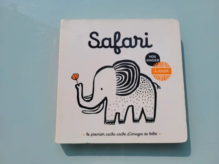 Livre-jeu éditions Casterman 🦓 Safari 🐘 - photo numéro 2