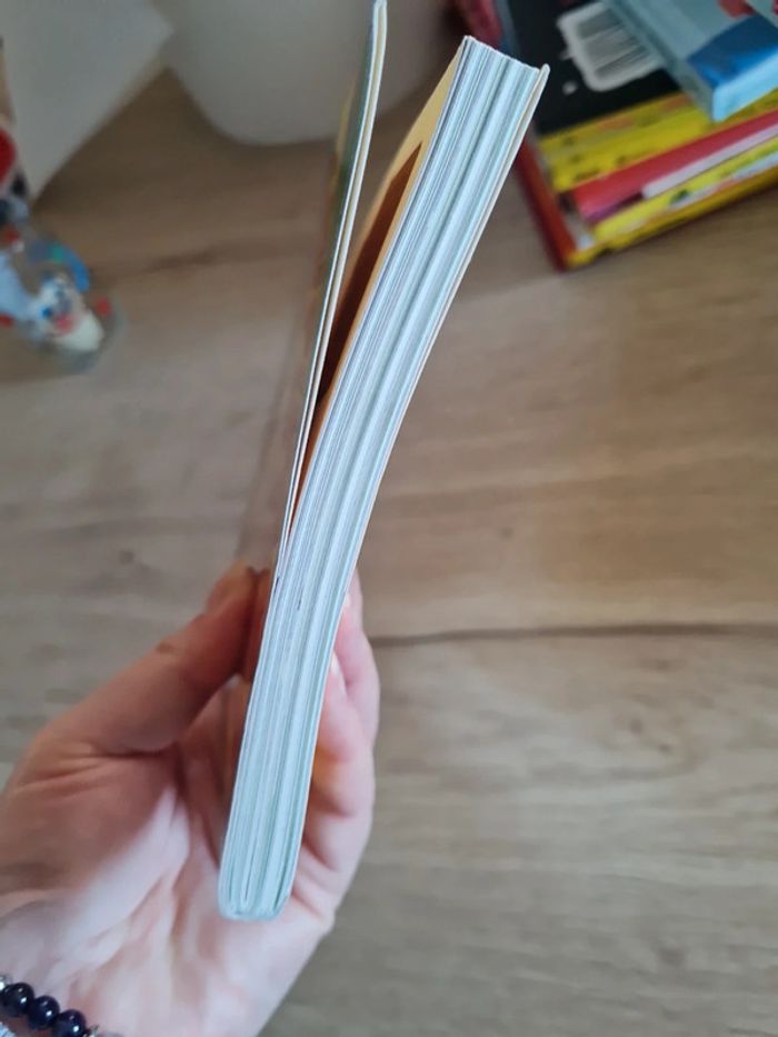 Livre Finale de foot à Sourissia - photo numéro 2