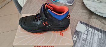 Chaussures Geox