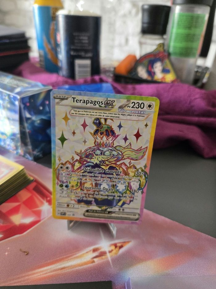 Carte promo Terapagos ex française