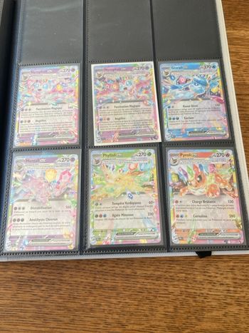 Lot de 6 cartes évolution