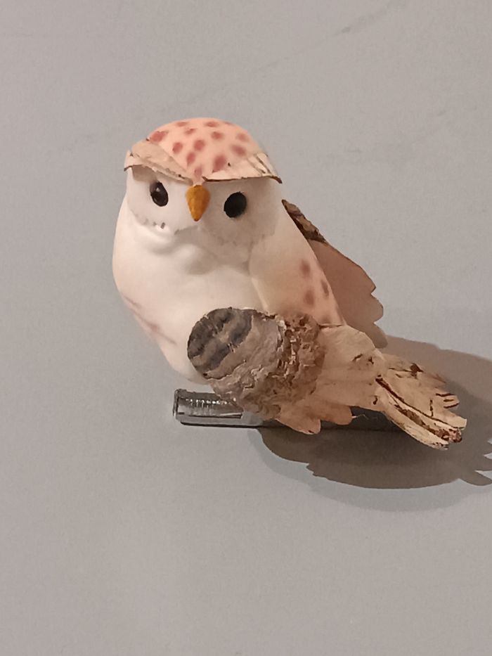 Chouette pince - photo numéro 2