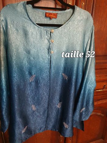 Blouse bleu dégradé taille 52