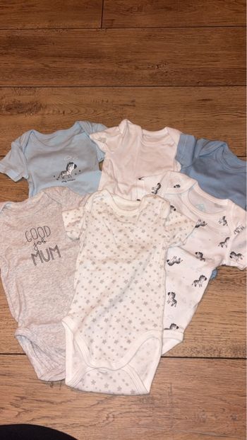 Lot body manche courte