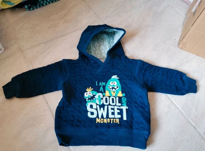 Sweat-shirt à capuche bébé garçon 2/4 mois neuf