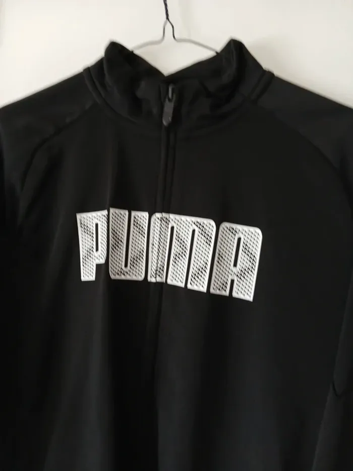 Haut puma - photo numéro 2