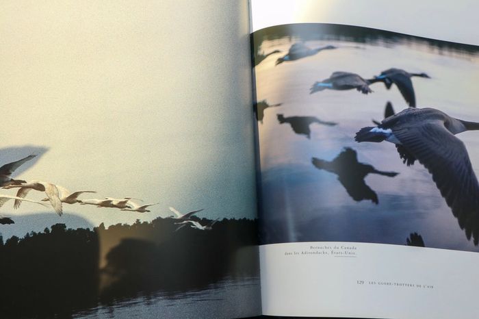 Le peuple migrateur - photo numéro 2