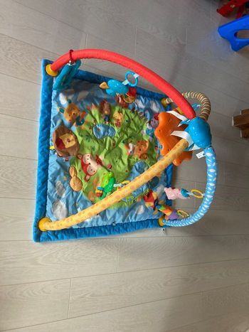 Tapis d’éveil vetch