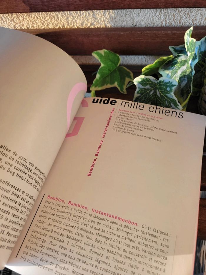 Livre de recette "Mon chien fait recette" - photo numéro 9