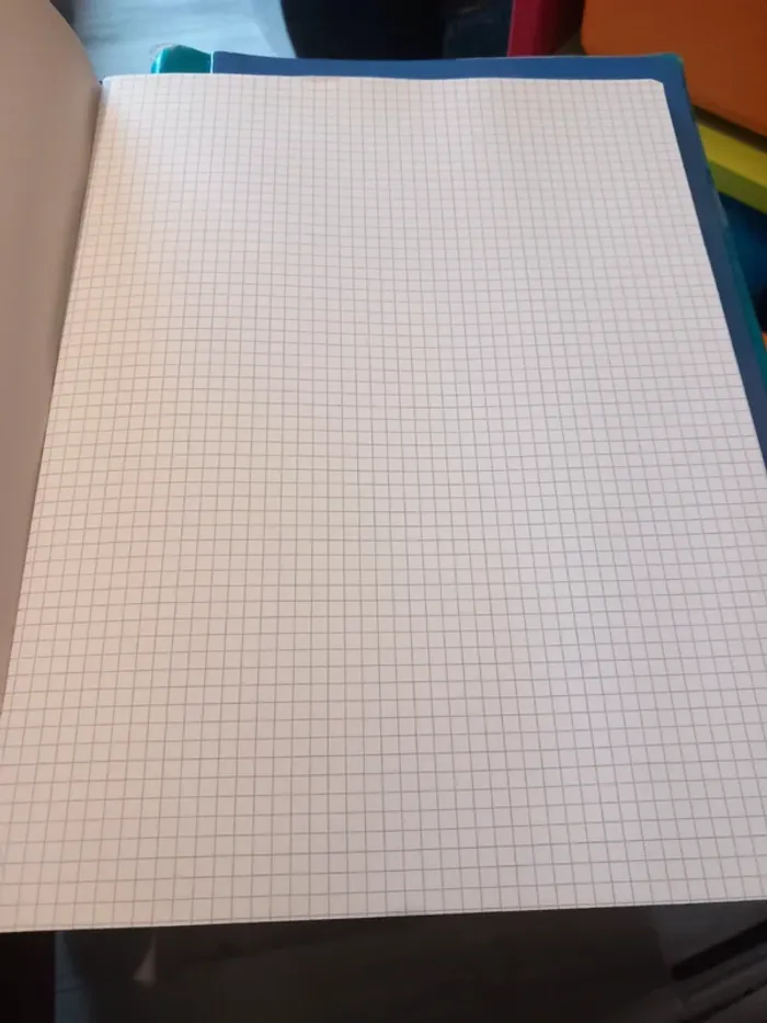 Cahier 24x32 petits carreaux 96 pages - photo numéro 2