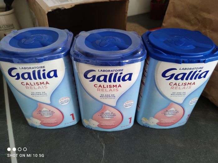Gallia calisma