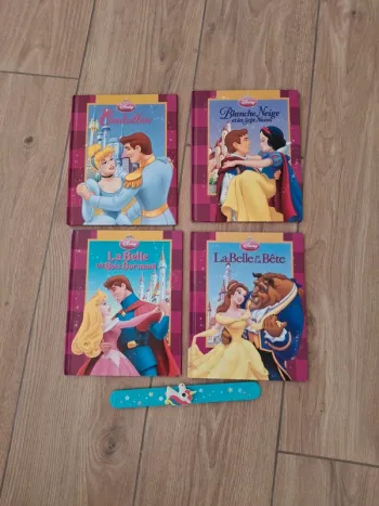 Lot de 4 livres des princesses Disney